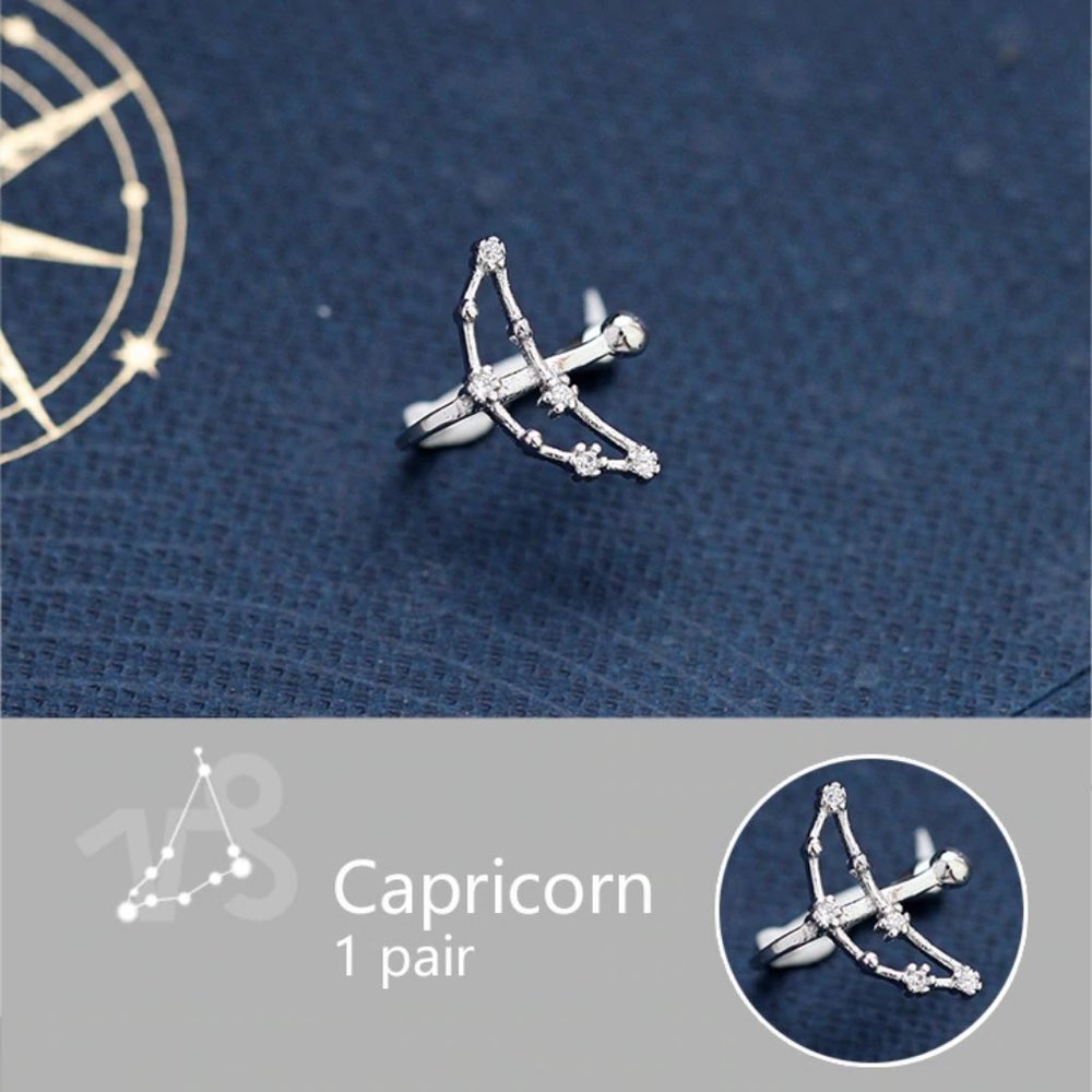 NEW 925 Sterling Silver Zodiac Earrings -Capricorn